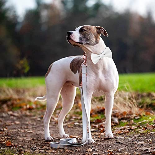 Soft Leather Bowtie Dog Collar - Adjustable Cute Bow Tie Collar [Easy to Clean] with Stylish Rose Gold Heavy Duty Metal Buckle for Small Medium Large Dogs White M - color: White, size: M(13.8"-19.7")