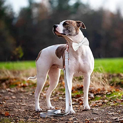 Soft Leather Bowtie Dog Collar - Adjustable Cute Bow Tie Collar [Easy to Clean] with Stylish Rose Gold Heavy Duty Metal Buckle for Small Medium Large Dogs White M - color: White, size: M(13.8"-19.7")