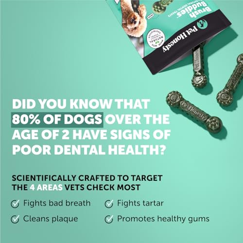 Pet Honesty Brush Buddies All Natural Dog Dental Treats for Dogs – Long Lasting Dental Sticks for Dogs, Teeth Cleaner, Breath Freshener, Plaque & Tartar Remover – Small Dogs (25 Count) - size: Small Dog - 25 Count