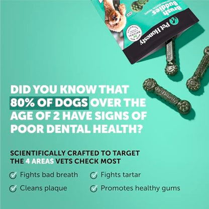 Pet Honesty Brush Buddies All Natural Dog Dental Treats for Dogs – Long Lasting Dental Sticks for Dogs, Teeth Cleaner, Breath Freshener, Plaque & Tartar Remover – Small Dogs (25 Count) - size: Small Dog - 25 Count