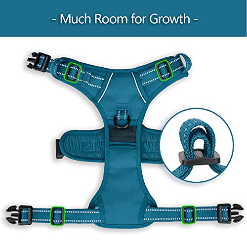 PoyPet No Pull Dog Harness, No Choke Reflective Dog Vest, Adjustable Pet Harnesses with Easy Control Padded Handle for Small Medium Large Dogs(Tumalo Teal,XS) - color: Tumalo Teal, size: XS