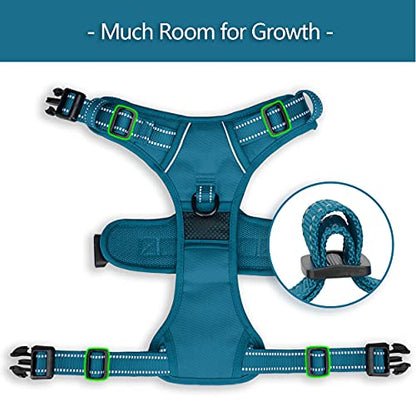PoyPet No Pull Dog Harness, No Choke Reflective Dog Vest, Adjustable Pet Harnesses with Easy Control Padded Handle for Small Medium Large Dogs(Tumalo Teal,XS) - color: Tumalo Teal, size: XS