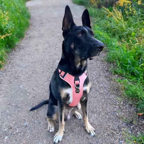 No Pull Dog Harness - Durable Polyester Puppy Harness with Front Anti-Pull Loop, Reflective Strips, and Quick-Release Clips for Small, Medium, and Large Dogs (Light Pink, Medium) - color: Light Pink, size: Medium