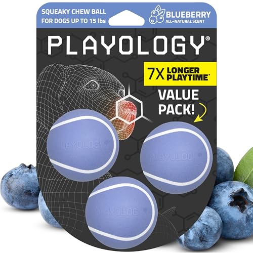 Playology Dog Toys | Squeaky Chew Ball - Bouncy Durable Floating Fetch Ball for Dogs , Value 3-Pack | Small Blueberry Scented Toy - Easy to Clean and Made from Non Toxic Materials - size: Small (VALUE 3-Pack), style: Blueberry