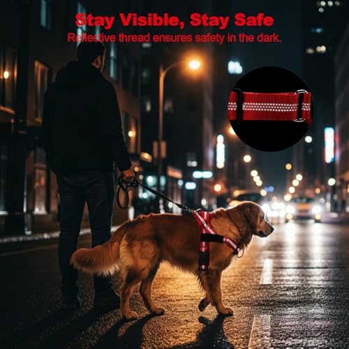 No Pull Dog Harness, Arcolma,Made to Roam Collar Design with Breathable Neoprene Padding, Y-Shaped Anti-Choking, Double D-Ring Traction, High-Reflective Strips for Daily Walking & Outdoor Adventure（M） - size: Medium