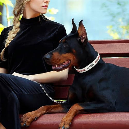 MLB Dog Collar Houston Astros New Signature PRO PVC-Leather Premium Pet Collars Extra Tough & Durable! Super Stylish! Size: Small Adjustable 12-15" Length x 0.75" Width - color: Houston Astros, size: Small