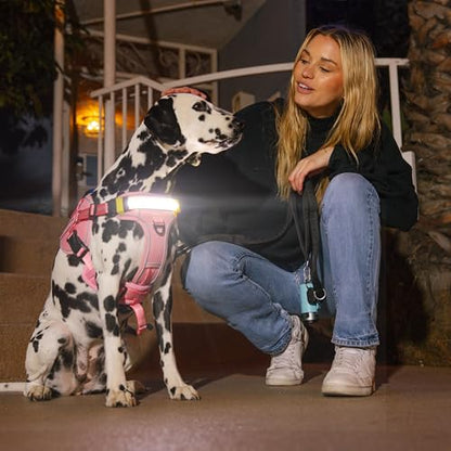 Lumi One LED Dog Harness for Night Visibility & Safety, Patent Pending, Rechargeable Adjustable Dog Harness, Durable Pet Vest, Reflective Pet Apparel, Light-Up Dog Vest (Pink, Extra Large) - color: Pink, size: Extra Large