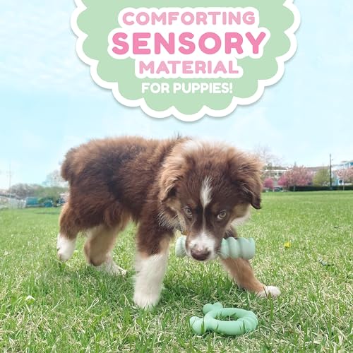 Nylabone Sensory Material Soothing Puppy Chew Toy Ring, Toys for Teething Puppies, Chicken Flavor, Small - Up to 25 lbs, 1 Count