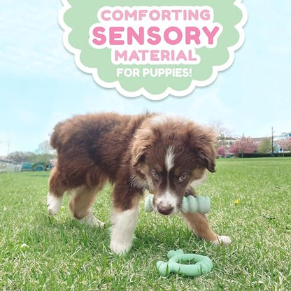 Nylabone Sensory Material Soothing Puppy Chew Toy Ring, Toys for Teething Puppies, Chicken Flavor, Small - Up to 25 lbs, 1 Count