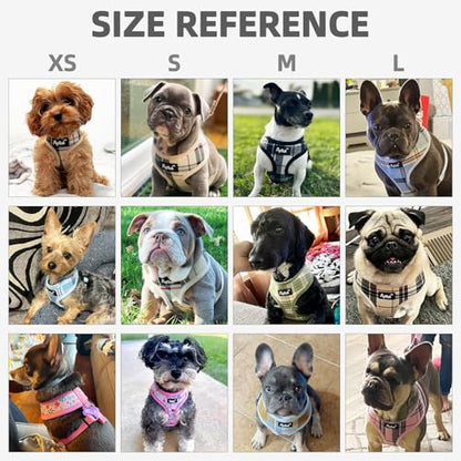 PUPTECK Soft Mesh Dog Harness Small Sized and Leash Set Pet Puppy Cat Comfort Padded Vest No Pull Harnesses, Beige, XS - color: Beige, size: XS (NECK: 10", CHEST: 10"-14")