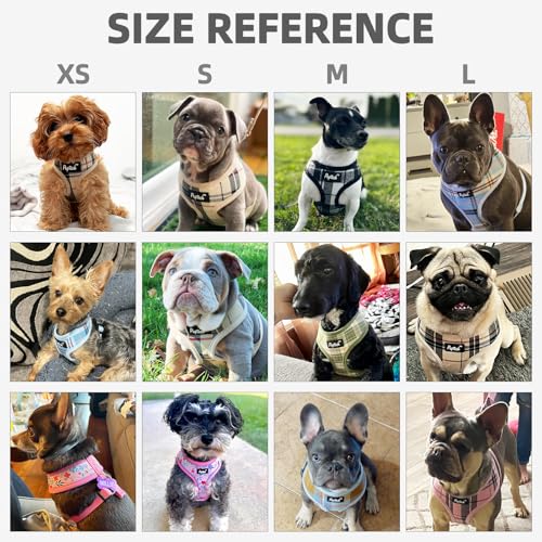 PUPTECK Soft Mesh Dog Harness and Leash Set Pet Puppy Cat Comfort Padded Vest No Pull Harnesses, Light Pink, XS - color: Light pink, size: XS (NECK: 10", CHEST: 10"-14")