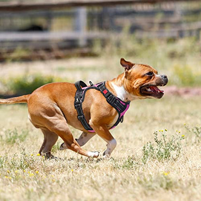 PoyPet No Pull Dog Harness, No Choke Front Lead Dog Reflective Harness, Adjustable Soft Padded Pet Vest with Easy Control Handle for Small to Large Dogs(Pink,S) - color: Pink, size: S