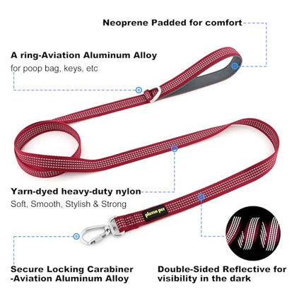 Plutus Pet Heavy Duty Dog Leash with Lockable Aluminum Carabiner, 4/6 Feet Long, Double-Sided Reflective Nylon, Padded Handle, for Puppy, Small, Medium and Large Dogs (Burgundy Red, 4/5" x 4') - color: Burgundy Red, size: 4/5" x 4'