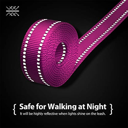 PHOEPET 5 Feet Dog Leash - Dual-Side Reflective - Soft Padded Handle - Fit for Walking, Training or Exploring Hiking, Camping (Pink + Royal Blue Base) - color: Pink + Royal Blue Base