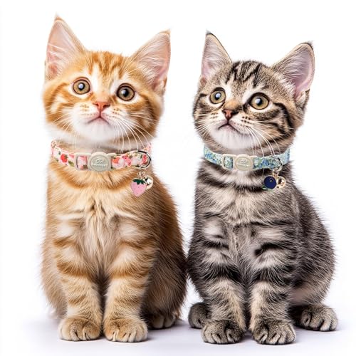 2 Pack Spring Summer Cat Collars - Cute Breakaway Cat Collar with Bell, Bluberry and Strawberry Pendant, Adjustable Kitten Collars for Girl Cats, Pastel Floral Fruit - color: Bluberry and Strawberry