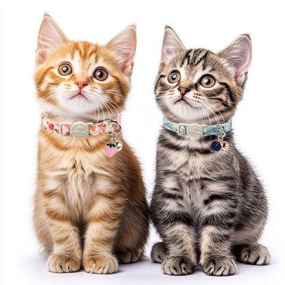 2 Pack Spring Summer Cat Collars - Cute Breakaway Cat Collar with Bell, Bluberry and Strawberry Pendant, Adjustable Kitten Collars for Girl Cats, Pastel Floral Fruit - color: Bluberry and Strawberry