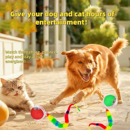 2 PCS Interactive Cat Toy Rolling Ball Chewie Viral Dog Ball with Tail, Smart Automatic Rolling Pet Balls,Automatic Moving Electric Cat Toy - color: Color3