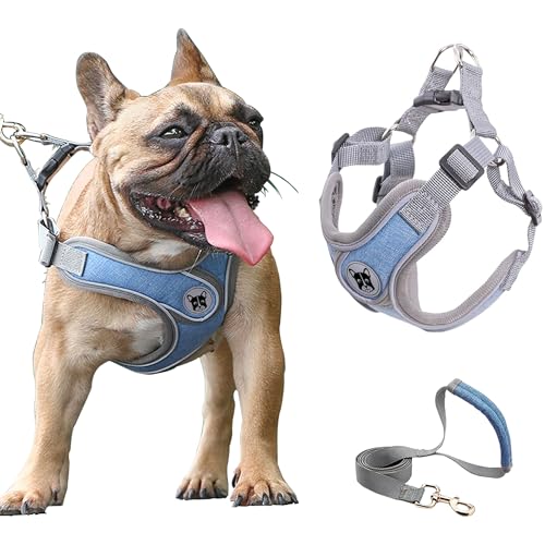 Puppy Harness and Leash Set,No Pull Adjustable Step in Soft Mesh Vest Harness,Easy Walk Reflective Pet Harness with Padded Handle for Walking Training Small Medium Large Dogs and Cats (Blue, XS) - color: Blue, size: XS
