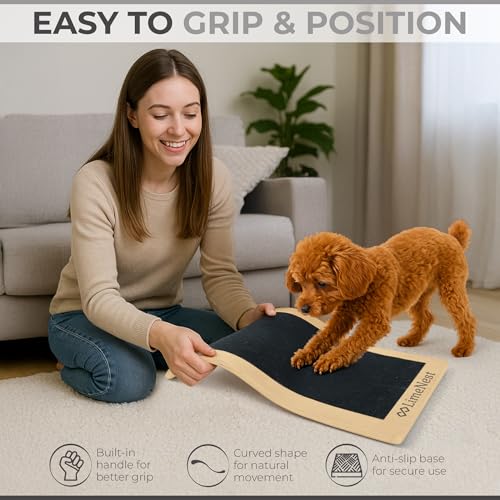 Dog Scratch Board for Nails – Dog Nail Scratch Pad with 2 Extra Sandpapers & Training Guide – Safe Dog Nail File Board for Natural Trimming – Dog Nail Board for All Sizes (Small 15.7in * 9.8in) - size: Small (15.7in * 9.8in)