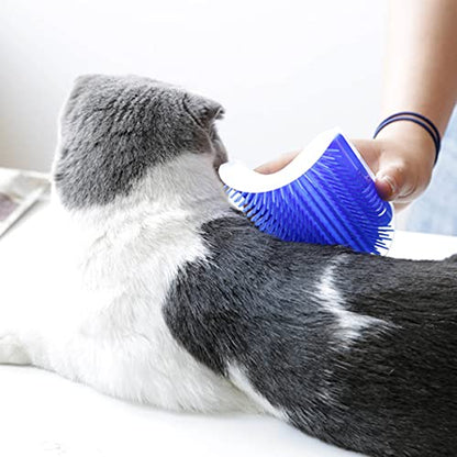 2 Pack Self Grooming Wall Brush for Cats and Dogs - Cat Groomer with Catnip, Massage Comb Tool for Long & Short Fur Pets (Blue) - color: Blue