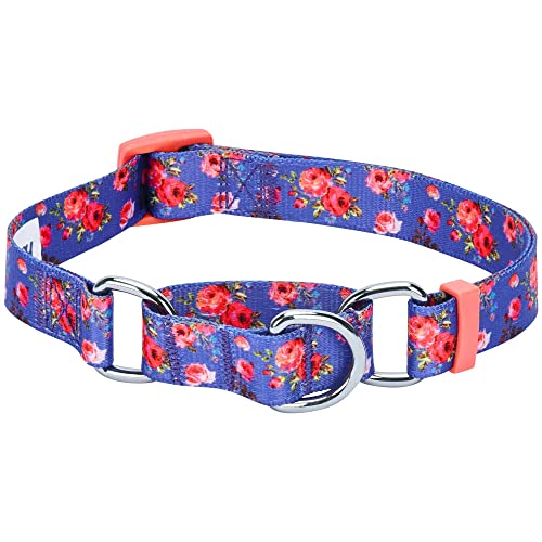 Blueberry Pet Spring Scent Inspired Rose Print Martingale Safety Training Dog Collar, Irish Blue, Medium, Heavy Duty Adjustable Collars for Dogs - color: Irish Blue, size: Medium