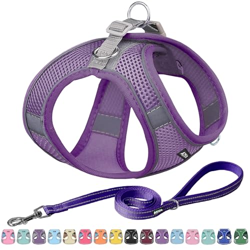 AIITLE Dog Harness, No-Pull Cat Harness with a Leash, Adjustable Reflective Dog Vest, Cat Harness Escape Proof, Outdoor Walking, Running,Training for Extra Small Dogs and House Cats Pure Purple XXXS - color: Pure Purple, size: XXXS(Chest: 8.5 - 10")