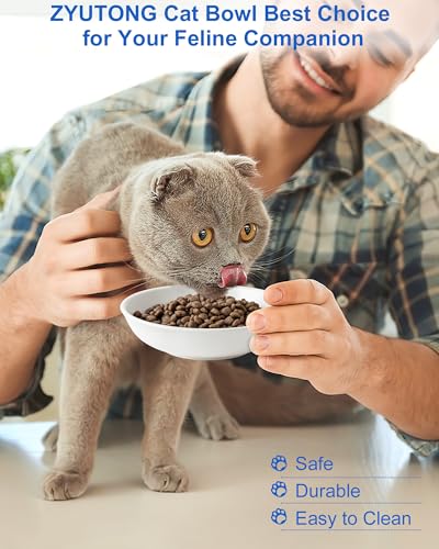 Ceramic Cat Bowl Whisker Friendly – Wide Shallow Cat Food Dish with Non-Slip Base, Dishwasher Safe Feeding Bowl for Indoor Cats - size: 1 PC aixin