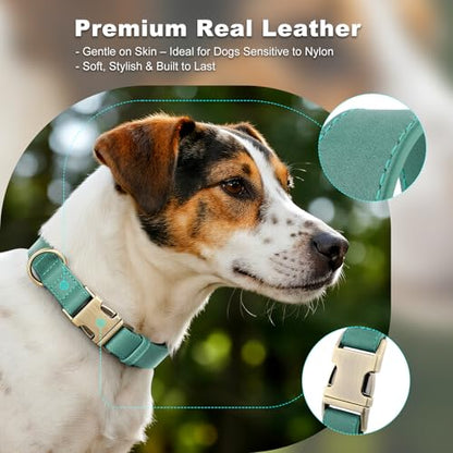 Plutus Pet Genuine Leather Dog Collar – Adjustable Pet Collar with Quick Release Metal Buckle, Soft Real Leather for Small Medium Large Dogs, Heavy Duty & Skin-Friendly (Green, XS) - color: Green, size: XS