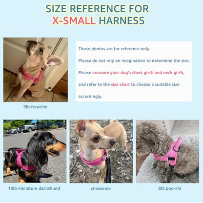 SlowTon No Pull Small Dog Harness and Leash Set, Puppy Soft Vest Harness Neck & Chest Adjustable, Reflective Lightweight Harness & Anti-Twist Pet Lead Combo for Small Medium Dogs (Fuchsia, XS) - color: A-Fuchsia - With Front Clip, size: X-Small