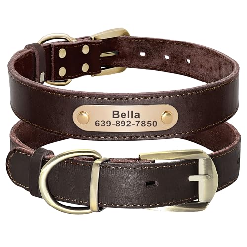 Didog Genuine Leather Dog Collars with Engraved Nameplate, Personalized Soft Leather Dog Collar with Custom ID Tag, Brown/Green/Red for Small Dogs (S,Brown) - color: Dark Brown, size: S: Fit Neck 9-13"(8-14 lbs)