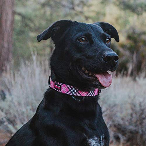 Max and Neo Plaid Pattern NEO Dog Collar - We Donate a Collar to a Dog Rescue for Every Collar Sold (Pink, Small) - color: Pink Plaid, size: Small