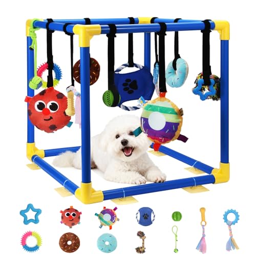 Puppy Play Gym with 12 Toys, Removable Dog Enrichment Playground, Interactive Indoor Training Activity Center for Small Dogs & Puppies, Teething & with Squeaky Toys, Fixable, 12 Toys