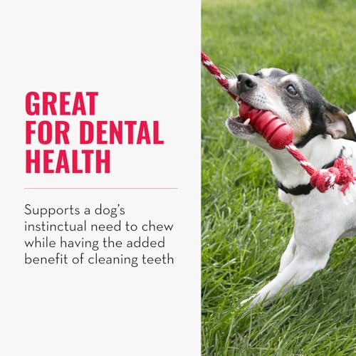 KONG Dental with Rope- for Dog Dental Care - Stuffable Chew Toy - Provides Chewing Outlet & Satisfies Instinctual Needs - Cleans Teeth & Gums - Made with Durable Natural Rubber - for Medium Dogs - size: Medium (Pack of 1)