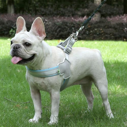 Adjustable Vest Harness with Leash - Breathable Mesh, Soft Padded Vest for Small Dogs & Cats （Small + 5 Ft Black Reflective Leash） - color: Blue Grey, size: Small
