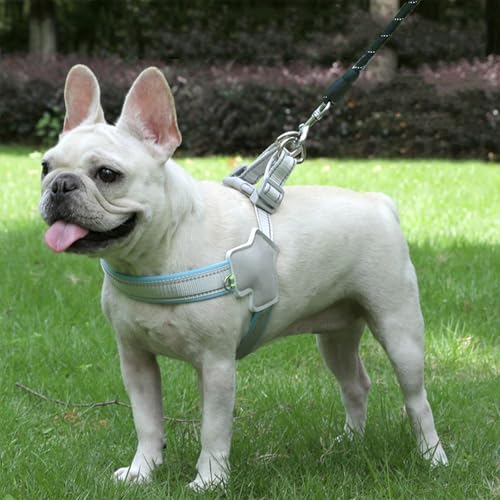 Adjustable Vest Harness with Leash - Breathable Mesh, Soft Padded Vest for Small Dogs & Cats （Large + 5 Ft Black Reflective Leash） - color: Blue Grey, size: Large