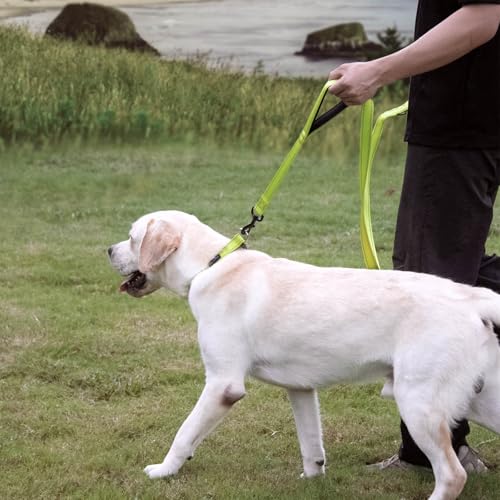 Wagtime Club Double Handle Dog Leash, 6ft Long Heavy Duty Dog Leash with Paded Traffic Handles for Extral Control and Training, Dual Handles Leads, Large Medium Small Dogs (Reflective Neon Green) - color: Reflective Neon Gren