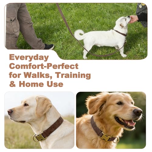 Genuine Leather Dog Collar - Adjustable Pet Collar with Quick Release Metal Buckle, Soft Skin Friendly Real Leather Collar for Small, Medium, Large Dogs (Dark Brown Collar + Rope, S：Fit 8-16" Neck) - color: Dark Brown Collar + Rope, size: S：Fit 8-16" Neck