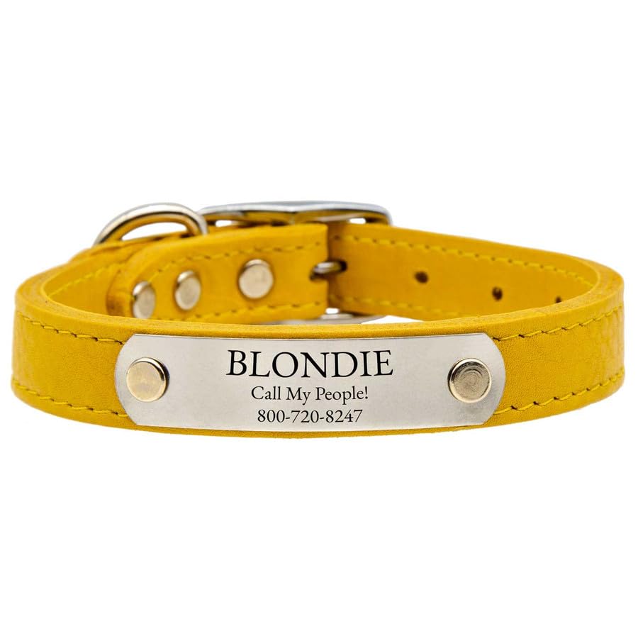 dogIDs Personalized Soft Designer Leather Dog Collar - Adjustable, Odor Resistant, Built-in Custom Laser Engraved Rivet on Name Plate - Goldenrod - 1/2 in Wide x 7 in Neck - color: Goldenrod, size: 1/2 in wide x 9 in (its 6-8 inch necks)