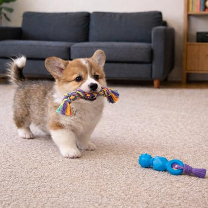 Mini Dentachew Pack Dental Chew Toy, Multi-Textured, Fetch & Tug Rope, Puppies & Small Dogs, 7", 3-Pack - color: Dentachew 3 Pk