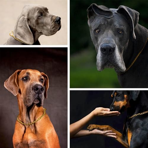 Gold Dog Choke Collars,2-Pack Metal Slip Link Martingale Collar Training Heavy Duty Dog Choker Collar Boys Girls Puppy Collars for XXS XS Small Medium Large Big Breed,XS - color: 2 Pack Gold, size: XS(Neck Max 12inch)D2.0mm