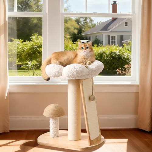 HITTITE Solid Wood Cat Tree Tower, Cat Scratching Post with Bed, 27" Small Flower Cat Tree, Compact Cat Tower with Scratching Pad and Cat Bed, Mushroom Modern Cat Tower for Indoor Cats Large Adult. - color: Flower Cat Bed