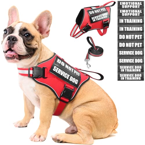 Service Dog Vest Harness and Leash Set+10 Patches,No Pull&Adjustable Reflective Dog Harness with Soft Padded Handle for Training/Everyday,Fit Small/Medium/Large/Extra-Large Dogs(Red M) - color: Red, size: Medium