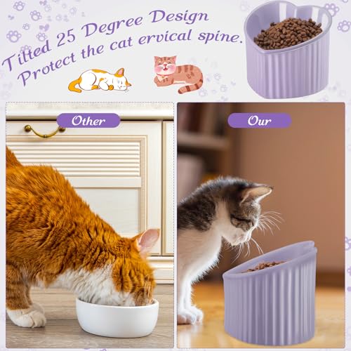 Mumufy 2 Pcs Ceramic Elevated Cat Bowls Tilted Elevated Raised Pet Bowls Anti Vomit Cat Dish for Indoor Stress Free Water Dish Feeder for Puppies, Heart Shaped (Purple) - color: Purple