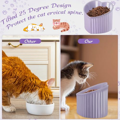Mumufy 2 Pcs Ceramic Elevated Cat Bowls Tilted Elevated Raised Pet Bowls Anti Vomit Cat Dish for Indoor Stress Free Water Dish Feeder for Puppies, Heart Shaped (Purple) - color: Purple
