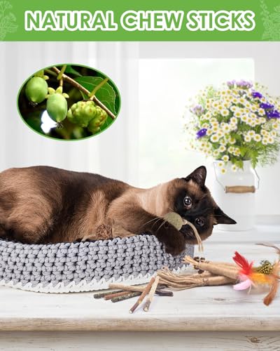TINDTOP 12 Pack Chew Sticks for Cats, Natural Silvervine Catnip Toys for Kittens Teeth Cleaning, Matatabi Dental Care, Increase Appetite, Calm Cat Anxiety and Stress, Cat Dental Toy - color: 12 Pack