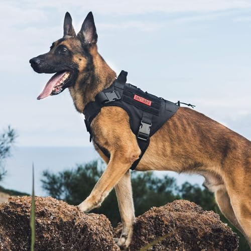 OneTigris Tactical Dog Harness Vest,No-Pull Service Dog Vest with Hook & Loop Panels,Adjustable Dog Vest Harness for Walking Hiking Training(Black,XS) - color: Black, size: XS