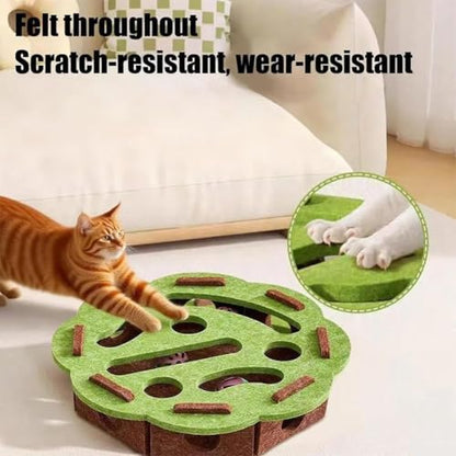 Cat Scratch Puzzle Enrichment Box, Cat Nail File Enrichment Box with Balls, Interactive Cats Scratches Puzzle Boxs - Bite & Scratch Resistant, for Indoor Bored Cats Scratching Hunting (Green-A) - color: Green-A