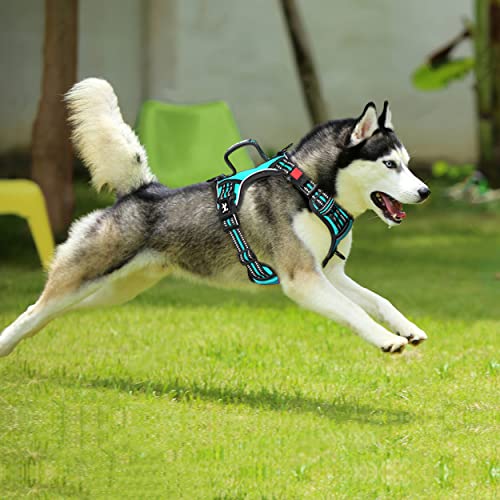 PoyPet No Pull Dog Harness, No Choke Front Clip Reflective Dog Vest with Soft Padded Vertical Handle, 3 Leash Attachments for Small Medium Large Dogs (Mint Blue,XL) - color: Mint Blue, size: Extra Large