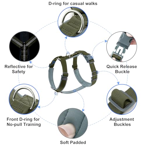 Plutus Pet No Pull Dog Harness, Adjustable Nylon Harness with Soft Padding, Reflective and Heavy Duty Dog Harness for Small, Medium, Large Dogs(Ranger Green, XS) - color: Ranger Green, size: XS
