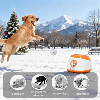 26-79 FT Distance Automatic Dog Ball Launcher